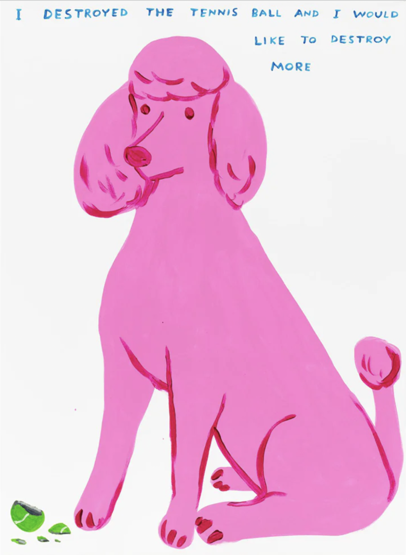 'I Destroyed The Tennis Ball, 2023' by David Shrigley